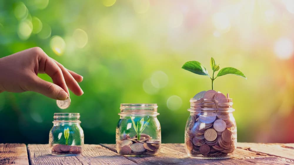 Planta creciendo junto a frascos de monedas