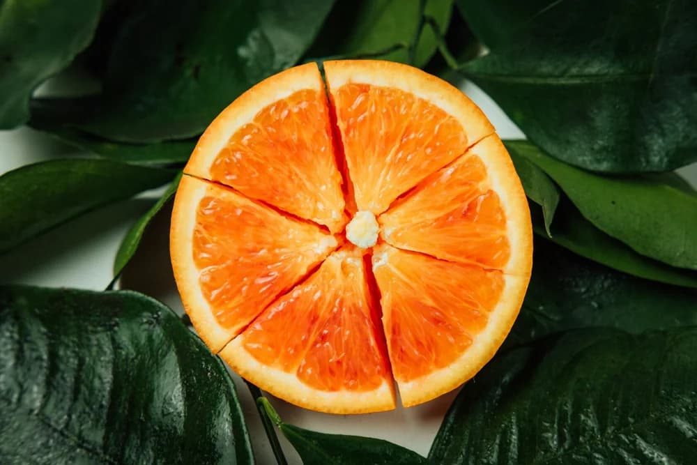 Naranja dividida en porciones como ilustración de las participaciones